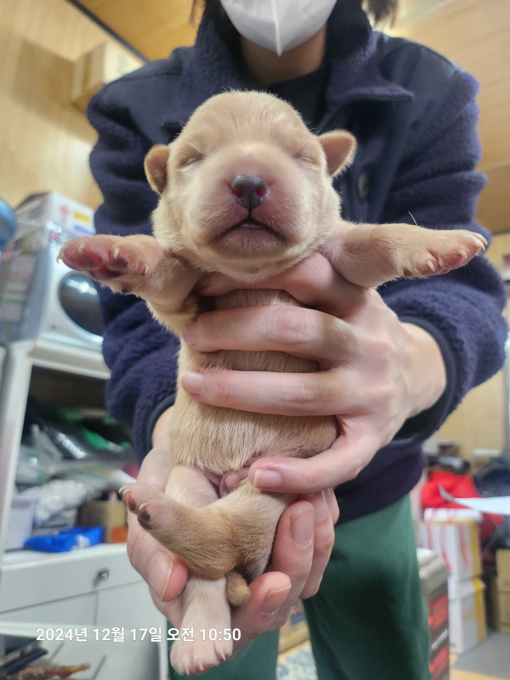 울산유기동물보호센터_431373202402106